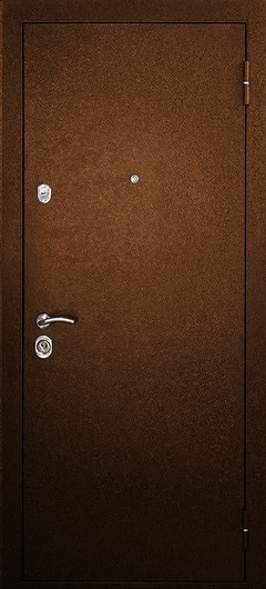 Входные порошковые двери ДЗ-4