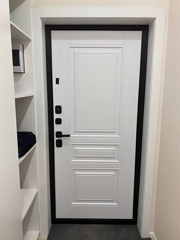 Дверь с панелью белого цвета