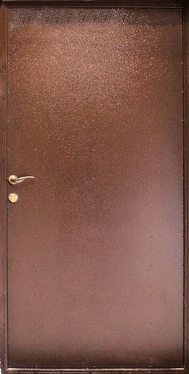 Железная дверь с порошковым напылением ДП-44